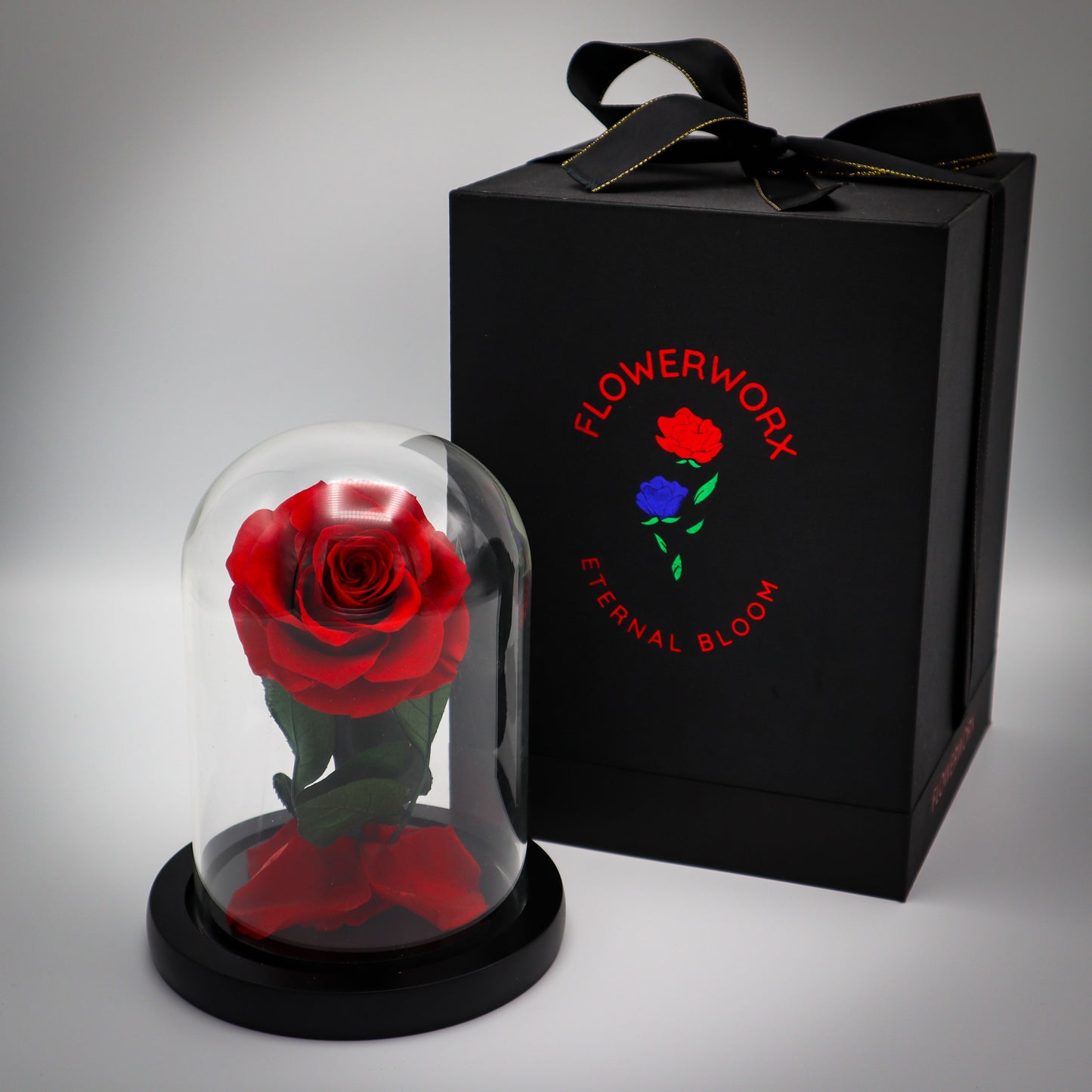 Preserved Red Rose