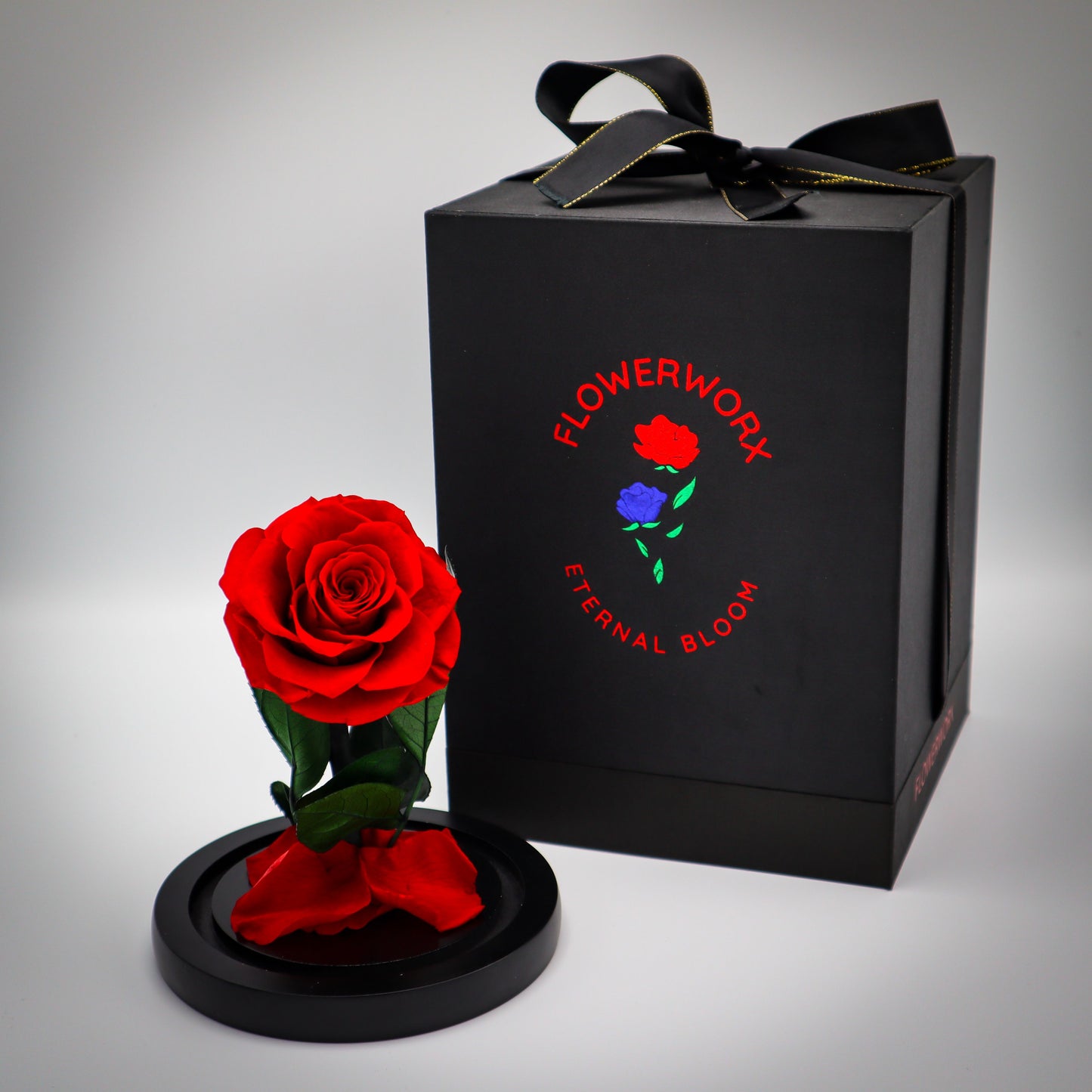 Preserved Red Rose