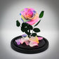 Preserved Rainbow Rose
