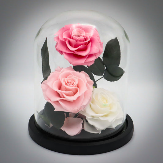 Preserved Light Rose Bundle