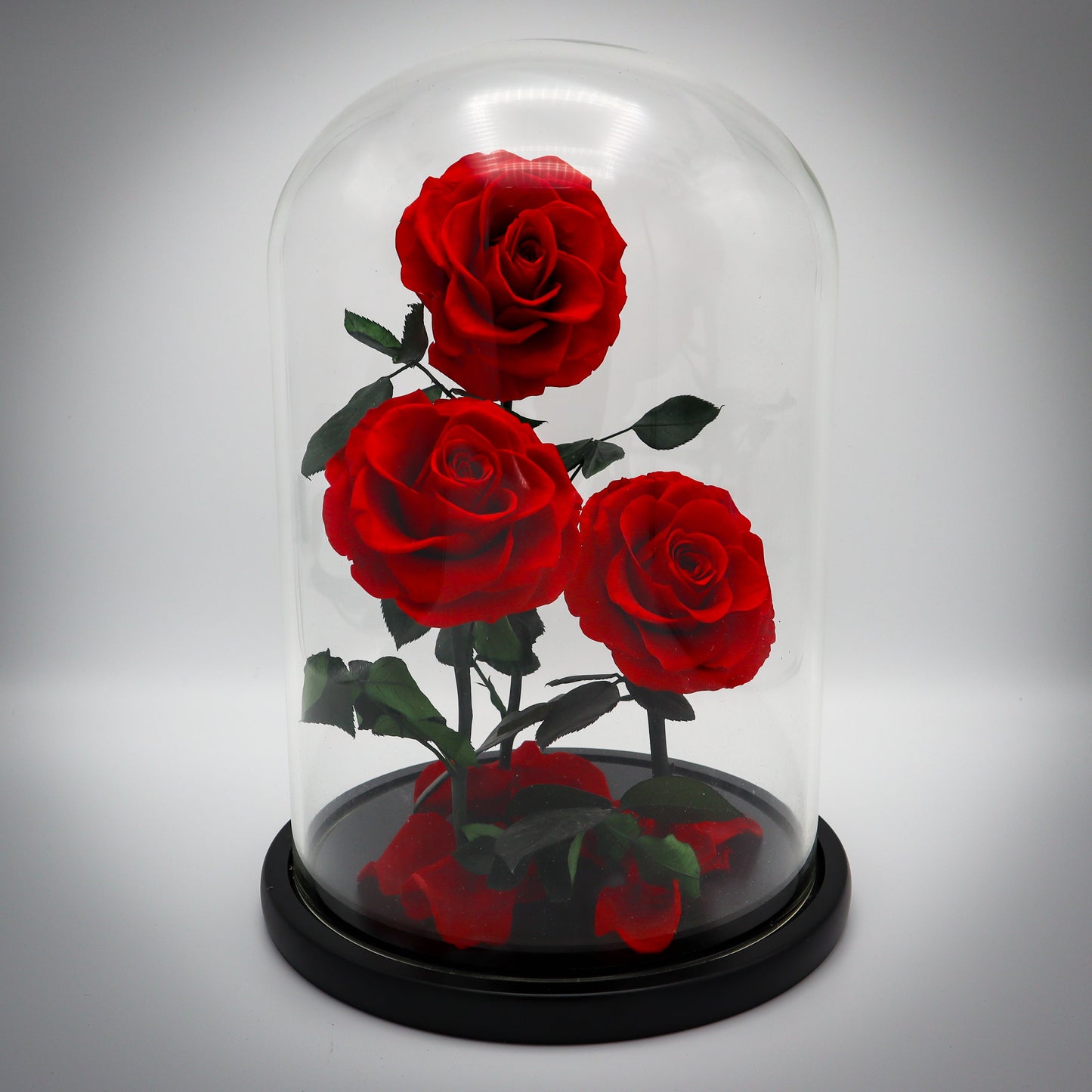 Preserved Red Rose Bundle