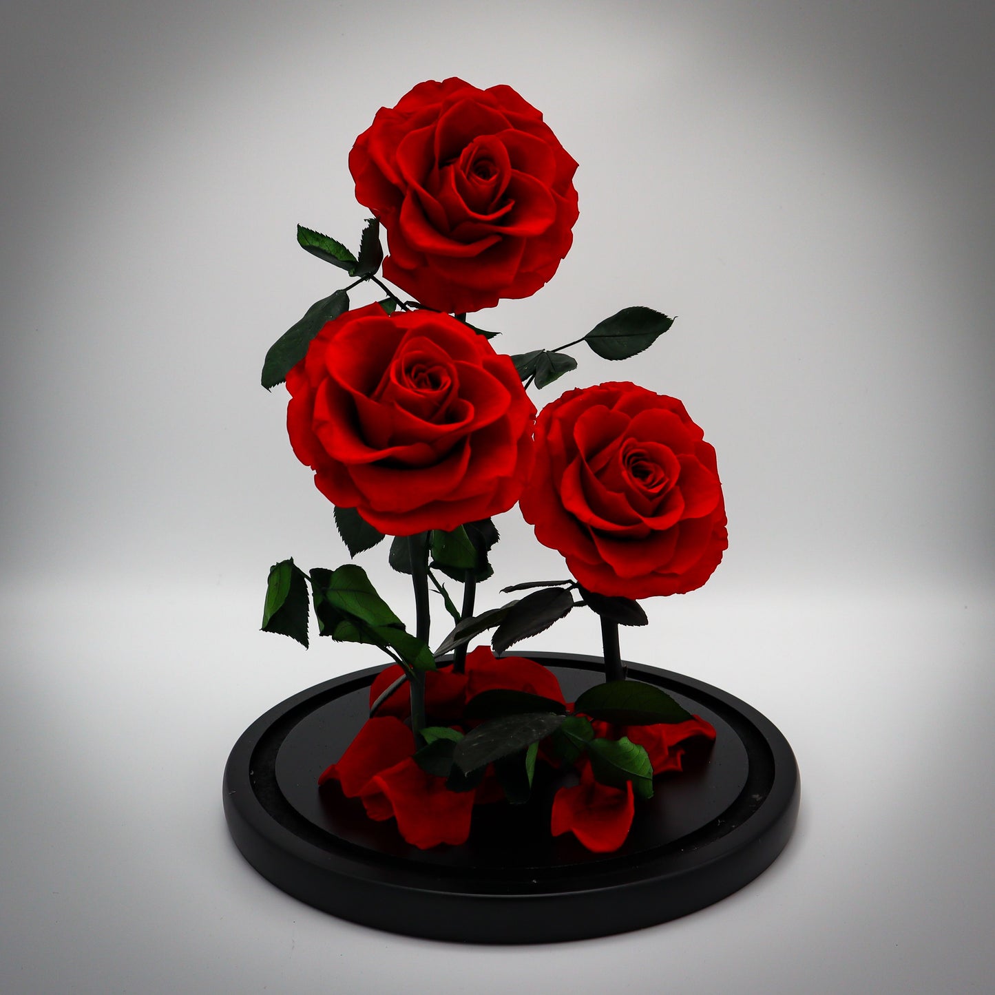 Preserved Red Rose Bundle