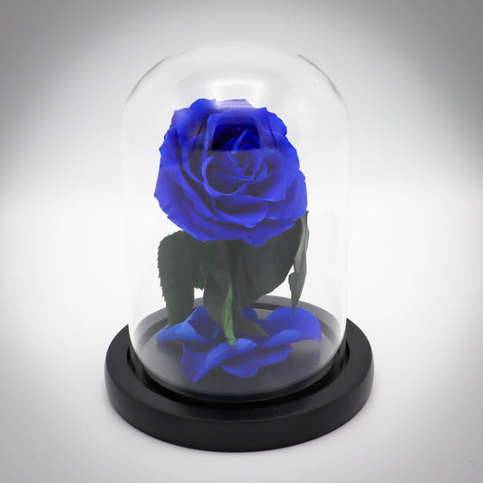 Preserved Cobalt Rose