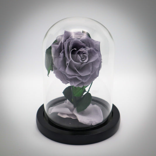 Preserved Silver Rose