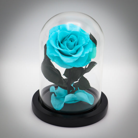 Preserved Cyan Rose