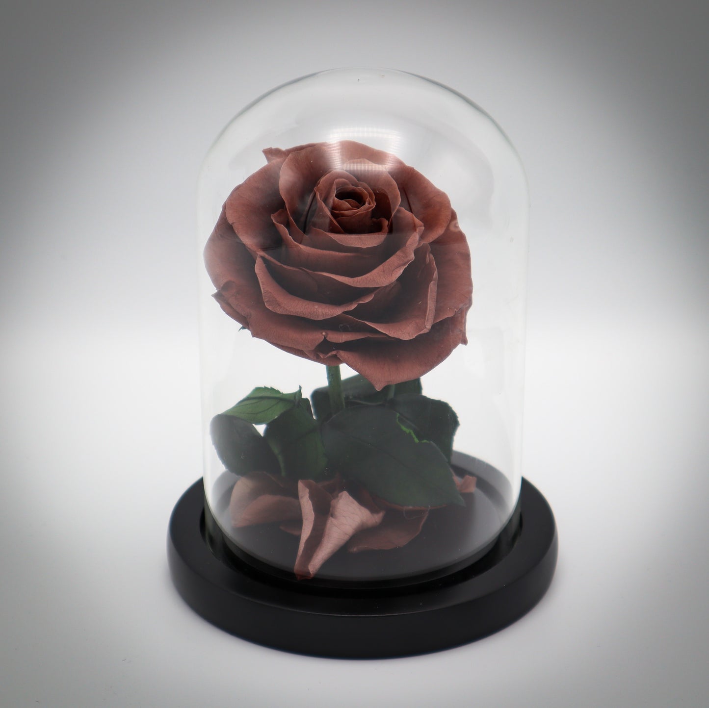 Preserved Bronze Rose